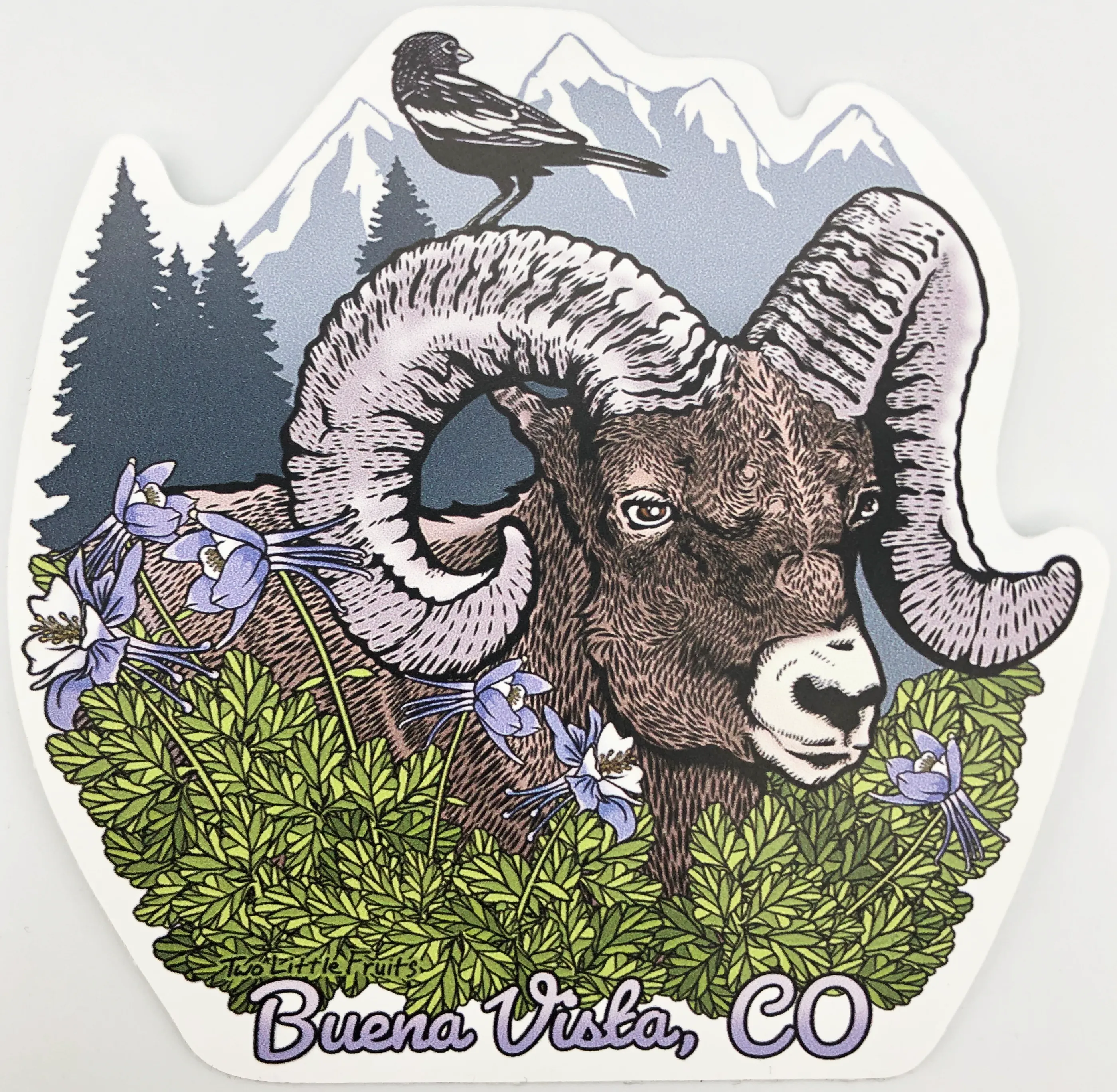 Bighorn Sheep Sticker