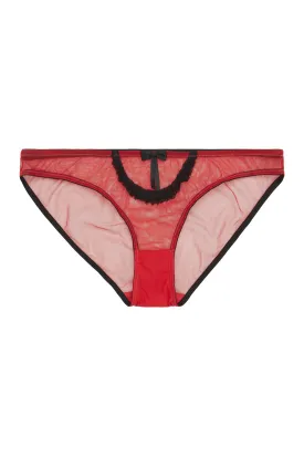 Miranda Red Curve Brief